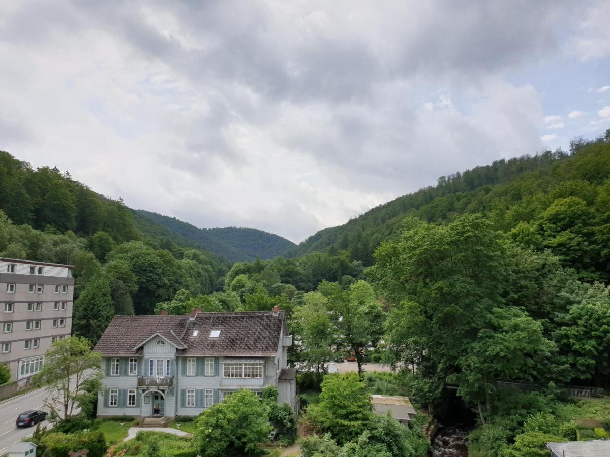 Apartz - Bad Harzburg - Apartment Mit Sauna In Idealer Lage Mit Bergblick Exterior photo